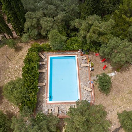 Villa I Tigli كامبيليا ماريتيما المظهر الخارجي الصورة