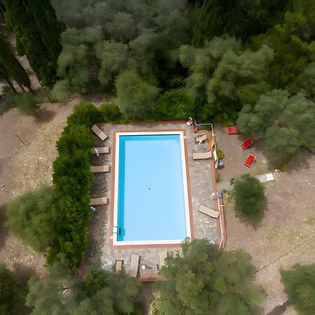 Villa I Tigli كامبيليا ماريتيما المظهر الخارجي الصورة