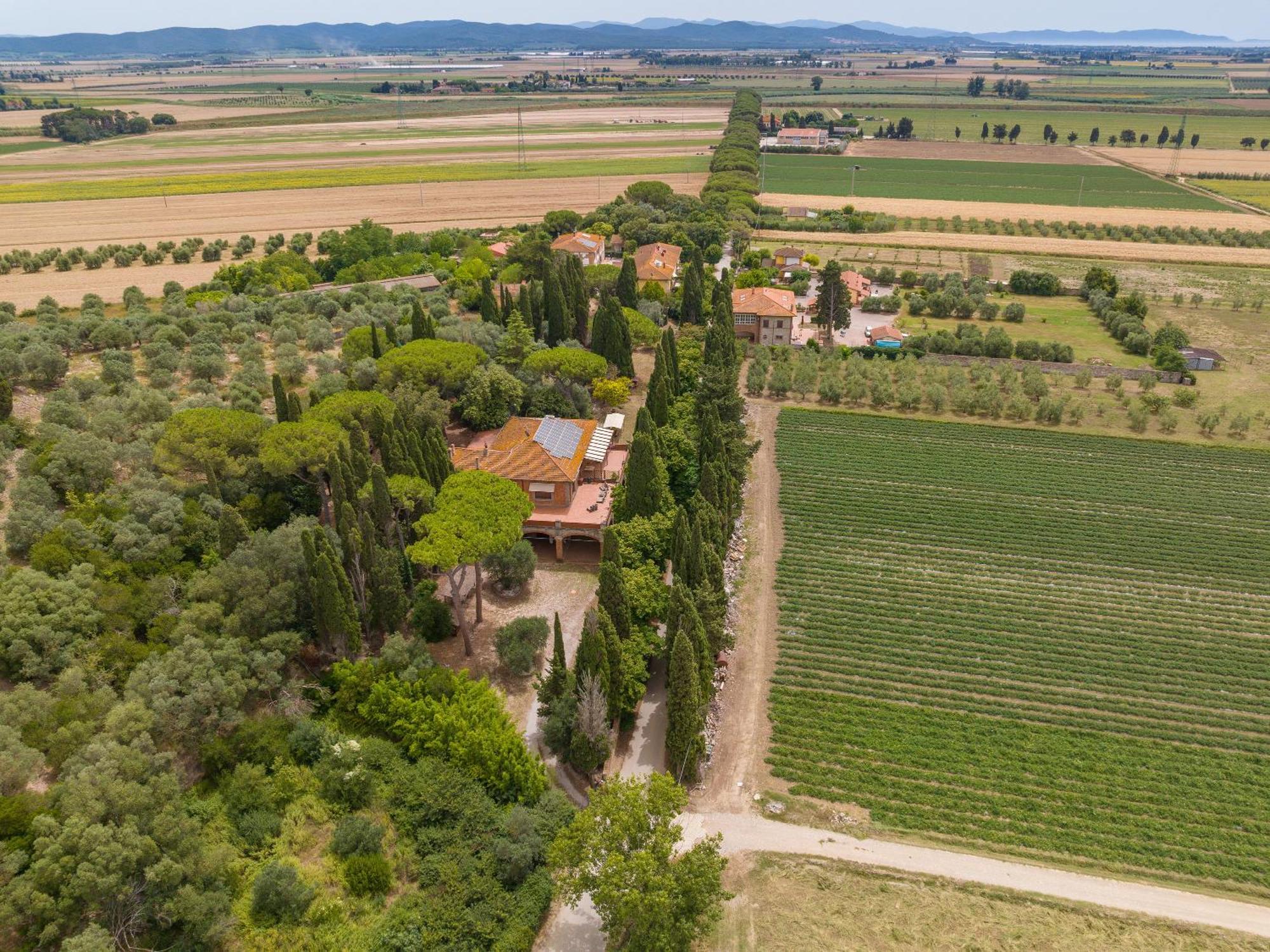 Villa I Tigli كامبيليا ماريتيما المظهر الخارجي الصورة