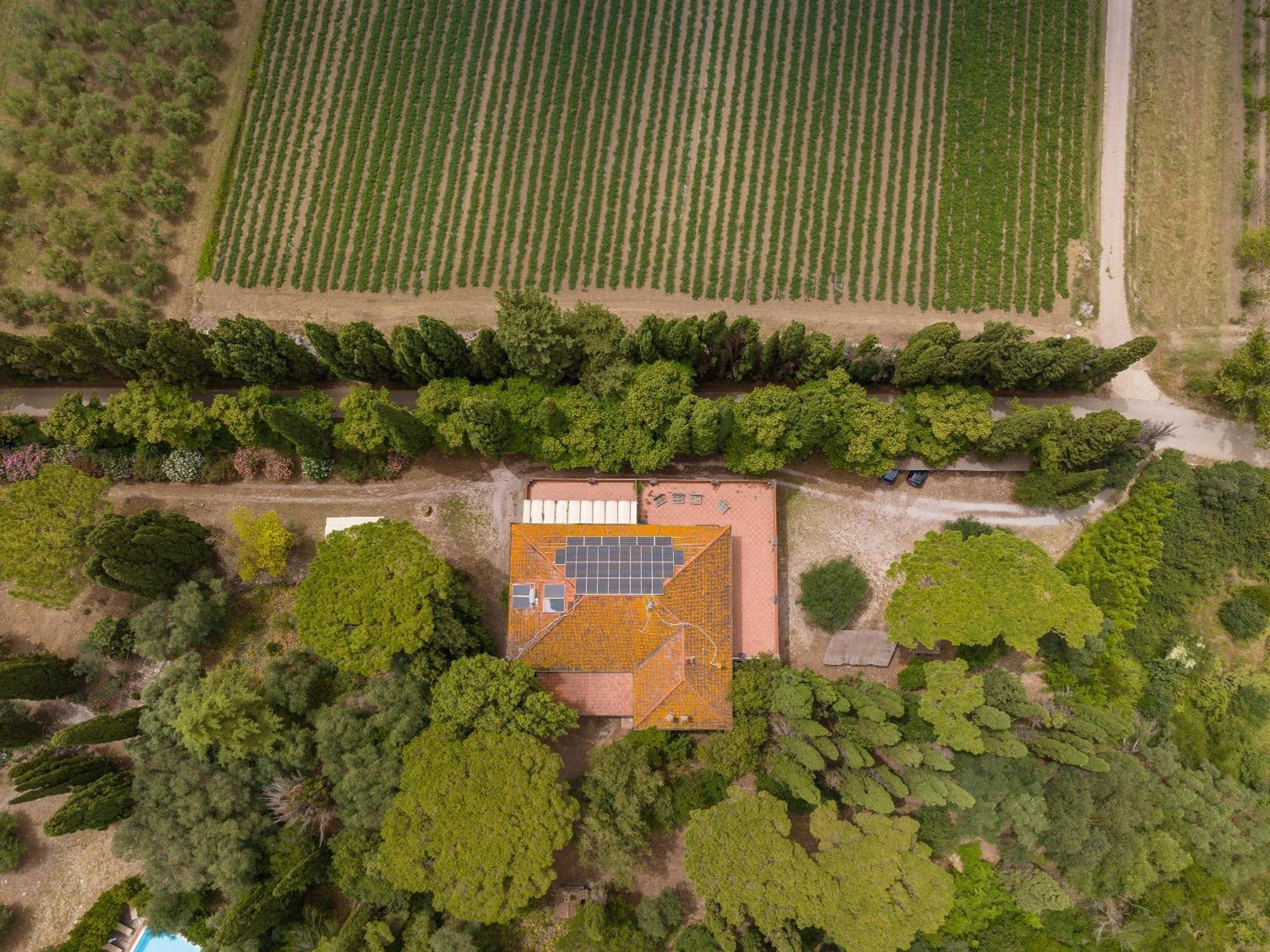 Villa I Tigli كامبيليا ماريتيما المظهر الخارجي الصورة