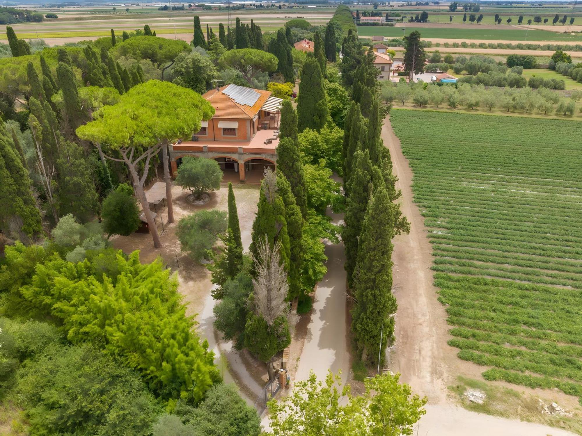 Villa I Tigli كامبيليا ماريتيما المظهر الخارجي الصورة